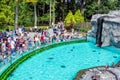 Krakow zoo visitors and tourists Ã¢â¬â children and adults near pool with penguins